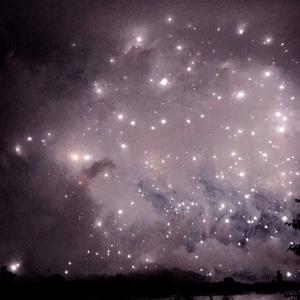 啪啪啪无码网站
